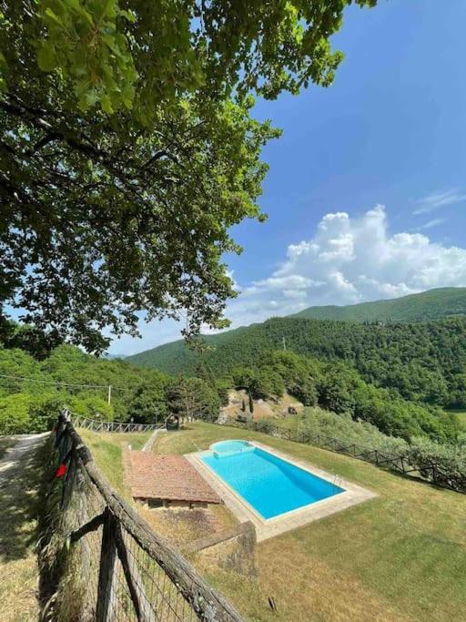 Il Colle - Apartment Pino Florenz Exterior foto